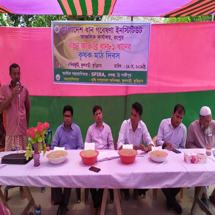 কৃষক মাঠ দিবস