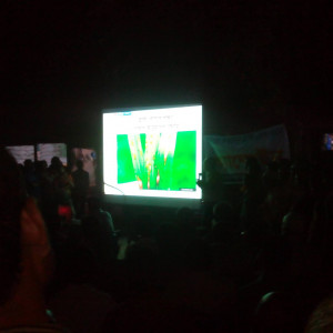 বাউড়া বাজারে সান্ধ্যকালীন ব্লাস্ট বিরোধী বায়াস্কোপ শো